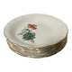 Set of 6 Antique Deep Plates Digoin & Sarreguemines - Model R