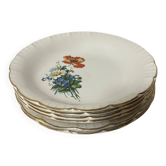 Set of 6 Antique Deep Plates Digoin & Sarreguemines - Model R