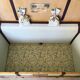Malle ancienne rare Courrier petit gabarit