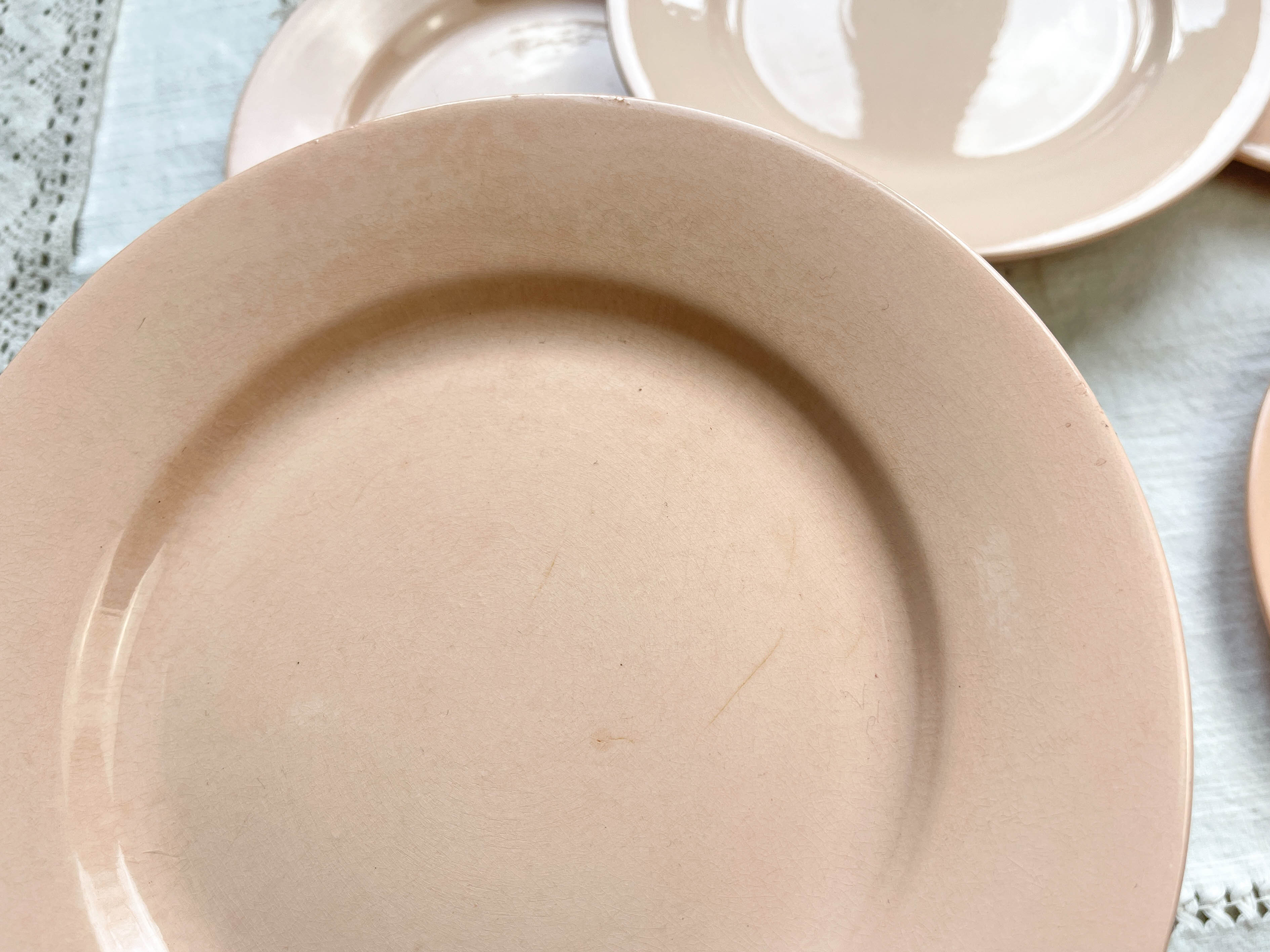 7 Flat plates Rose Digoin Sarreguemines