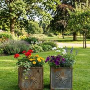 Paire de jardinières en fonte