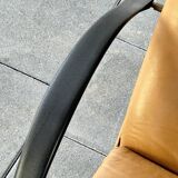 Lounge Chair Designed By Osvaldo Borsani For Tecno.