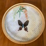 Tray and 6 coasters with naturalized butterflies