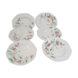 6 hollow plates pontesa