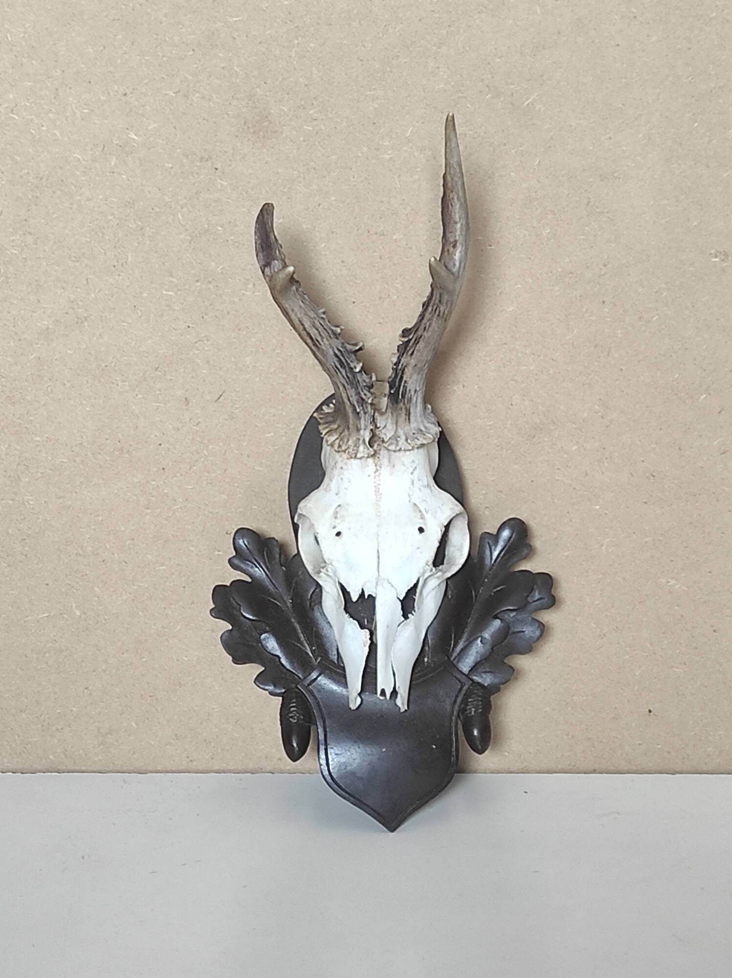 Massacre young deer on carved wooden crest with oak leaves and acorns