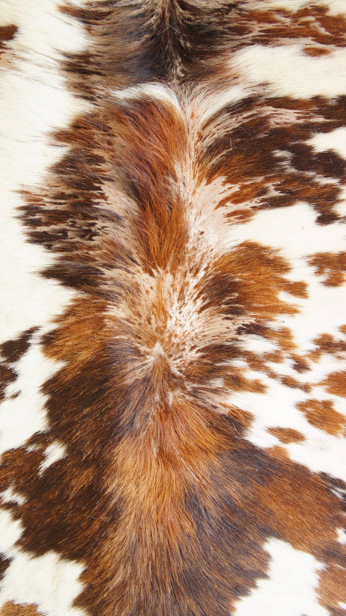 Cowhide rug 1970