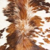 Cowhide rug 1970