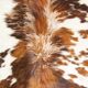Cowhide rug 1970