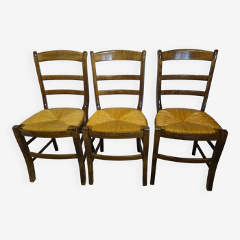 3 chaises Baumann en bois et paille