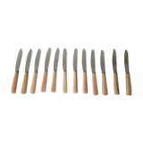 Box of 12 cheese knives