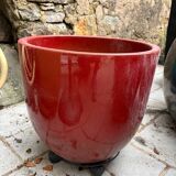 Glazed ceramic flower pots – perfect for terrace or garden.