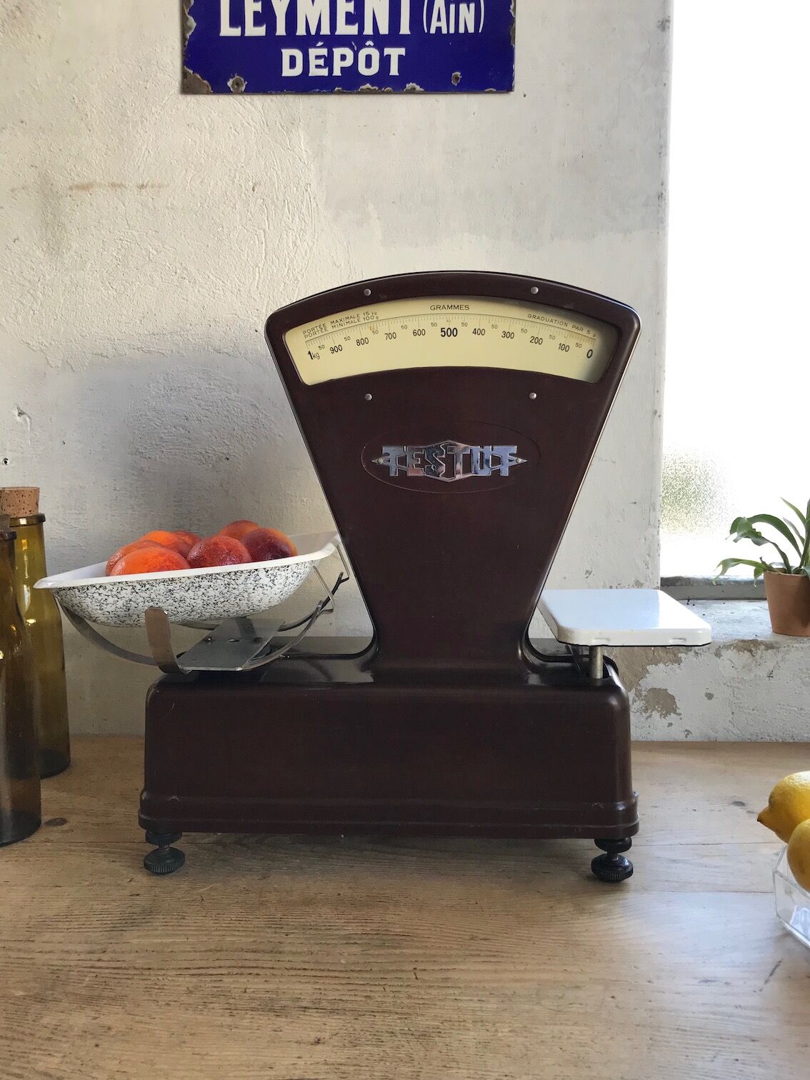 Testut scale in bakelite