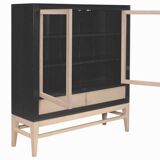 Quattro carbon cabinet