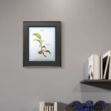 Printed in 1986, The Tea Planter. Original Vintage and Authentic.