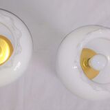 Pair of duck blue and white opaline lamps