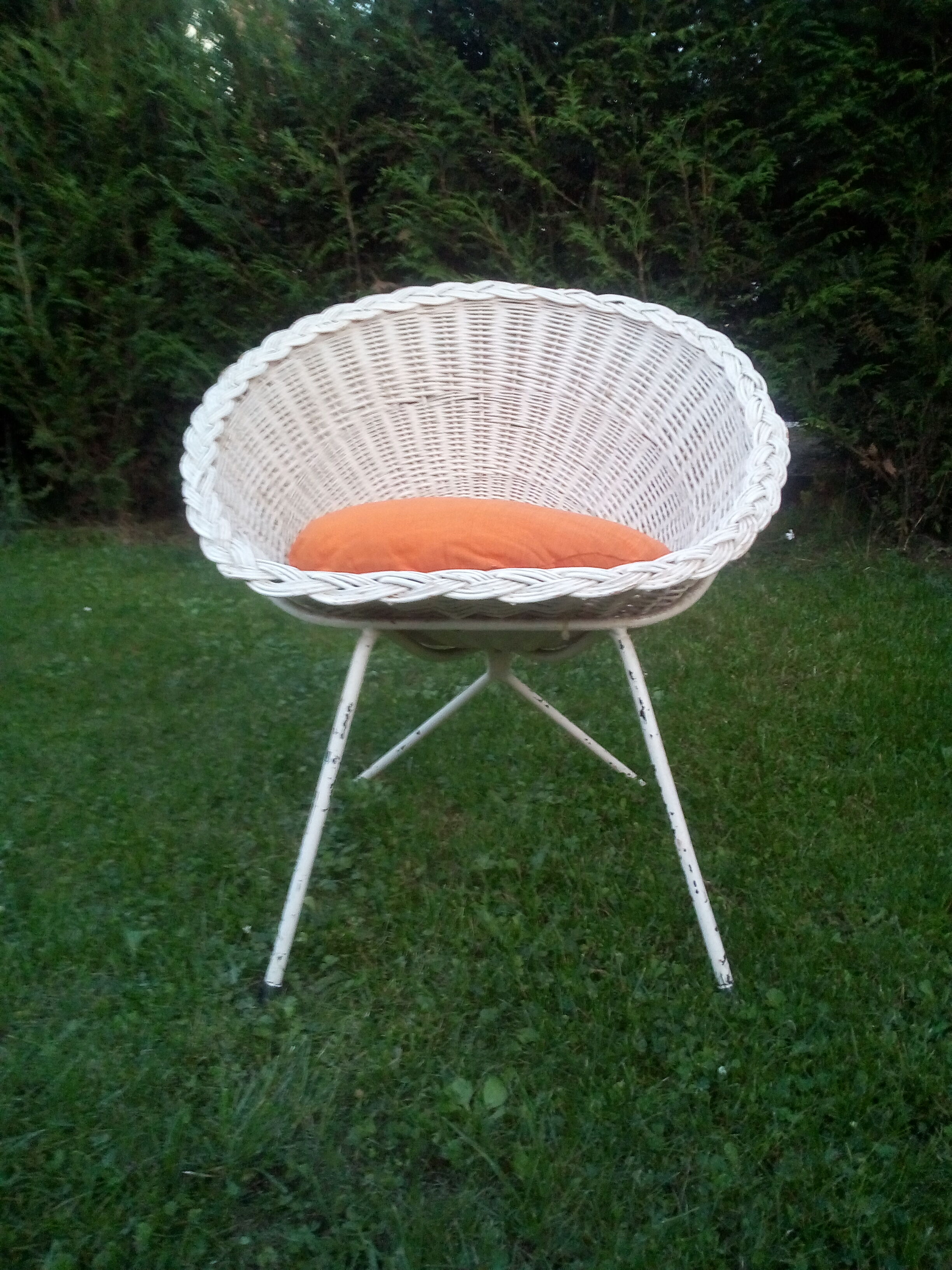 Rattan shell chair