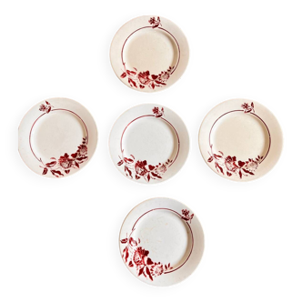 5 digoin dandy plates