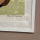 Original Swedish Color Lithograph – “Woman” by Lars Norrman – Signed