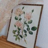 Tableau botanique rose