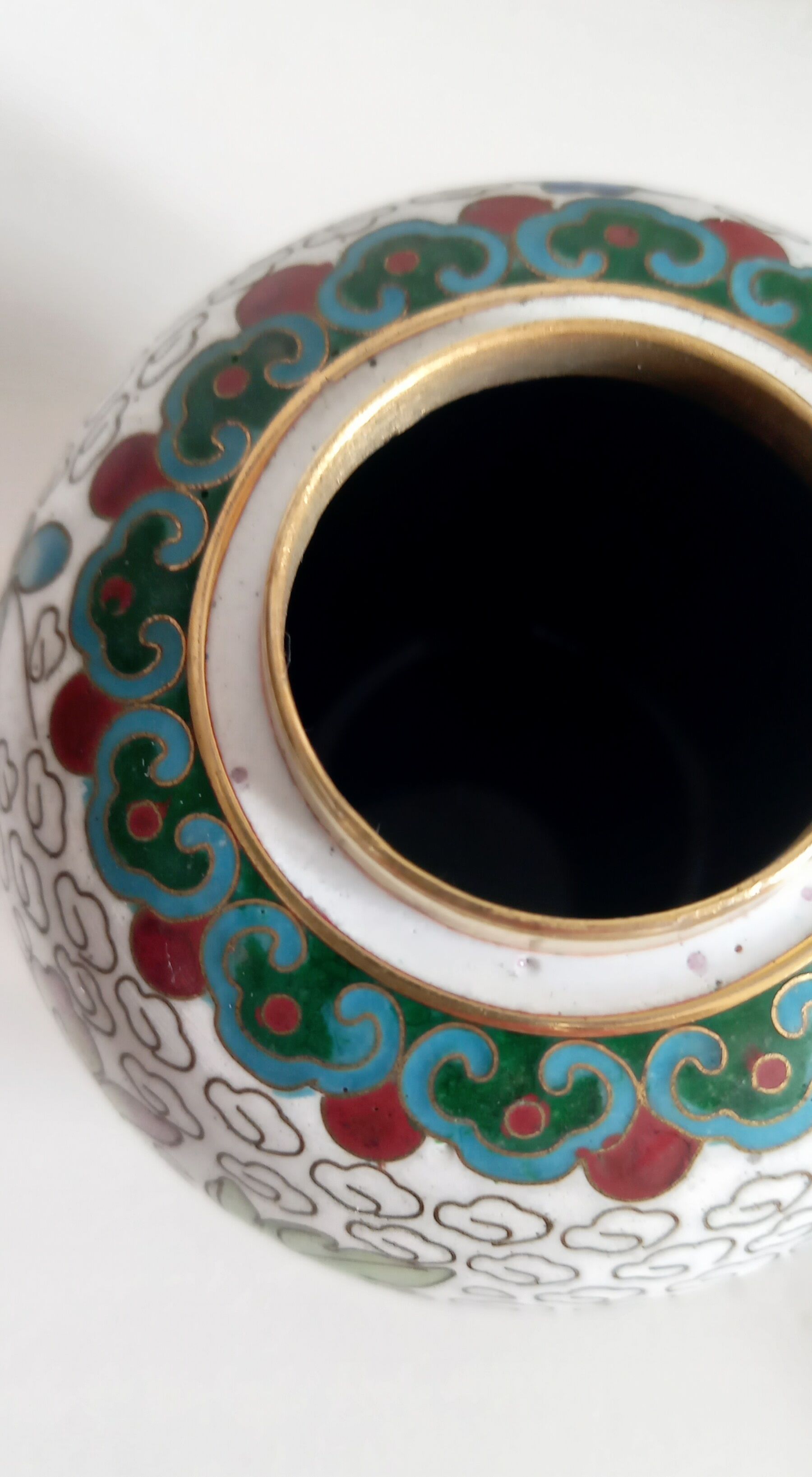 Partitioned ginger pot