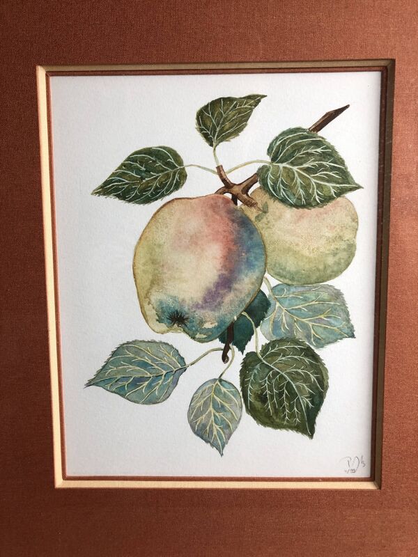 Ancienne lithographie botanique patricia kounakowitch