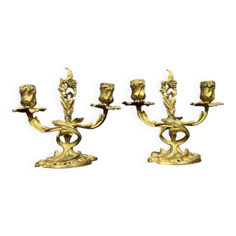 Pair of Louis XV rocaille candelabra in gilded bronze with two candle arms circa 1850