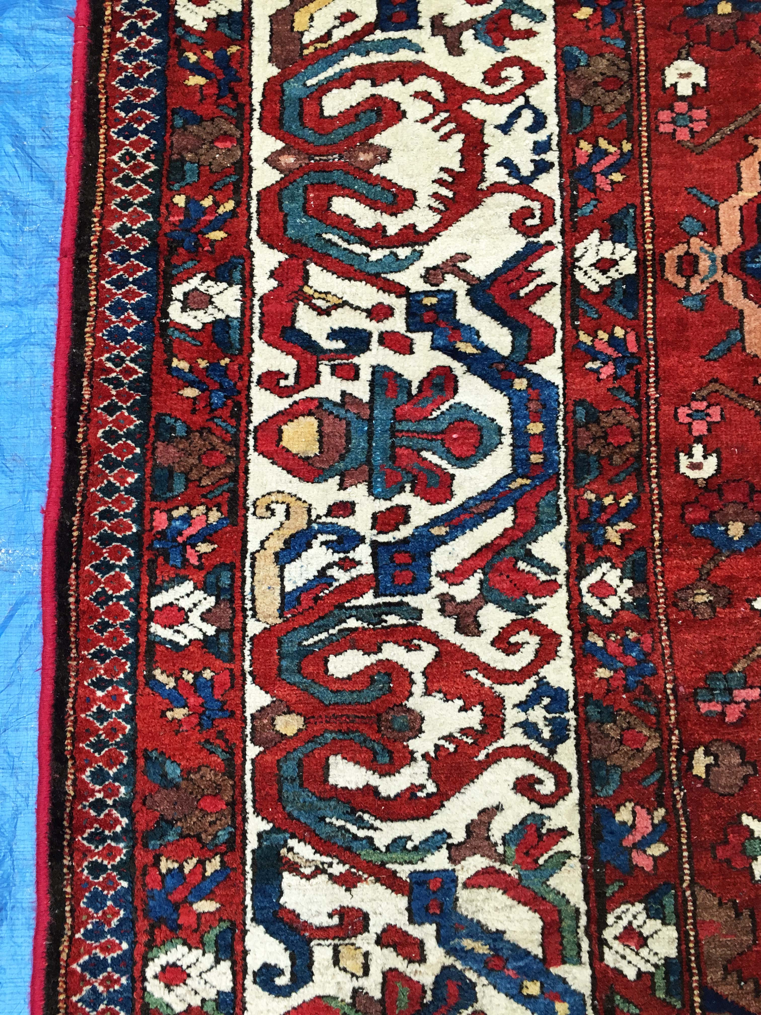 Oriental rug: former bakhtiari, 490 x 325