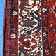 Oriental rug: former bakhtiari, 490 x 325