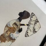Tableau en ailes de papillons