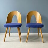 Retro Chair, TON Antonín Šuman, 1960s (Set of 2)