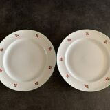 2 assiettes aux motifs de cerises