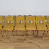 Polish Shell Chairs from Bydgoszcz Furniture Factory, 1960s, Set of 6
