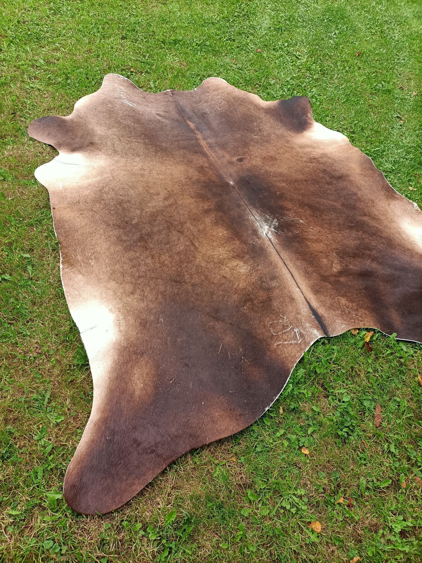Cowhide Rug