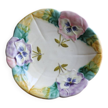 Plate of pansy slip