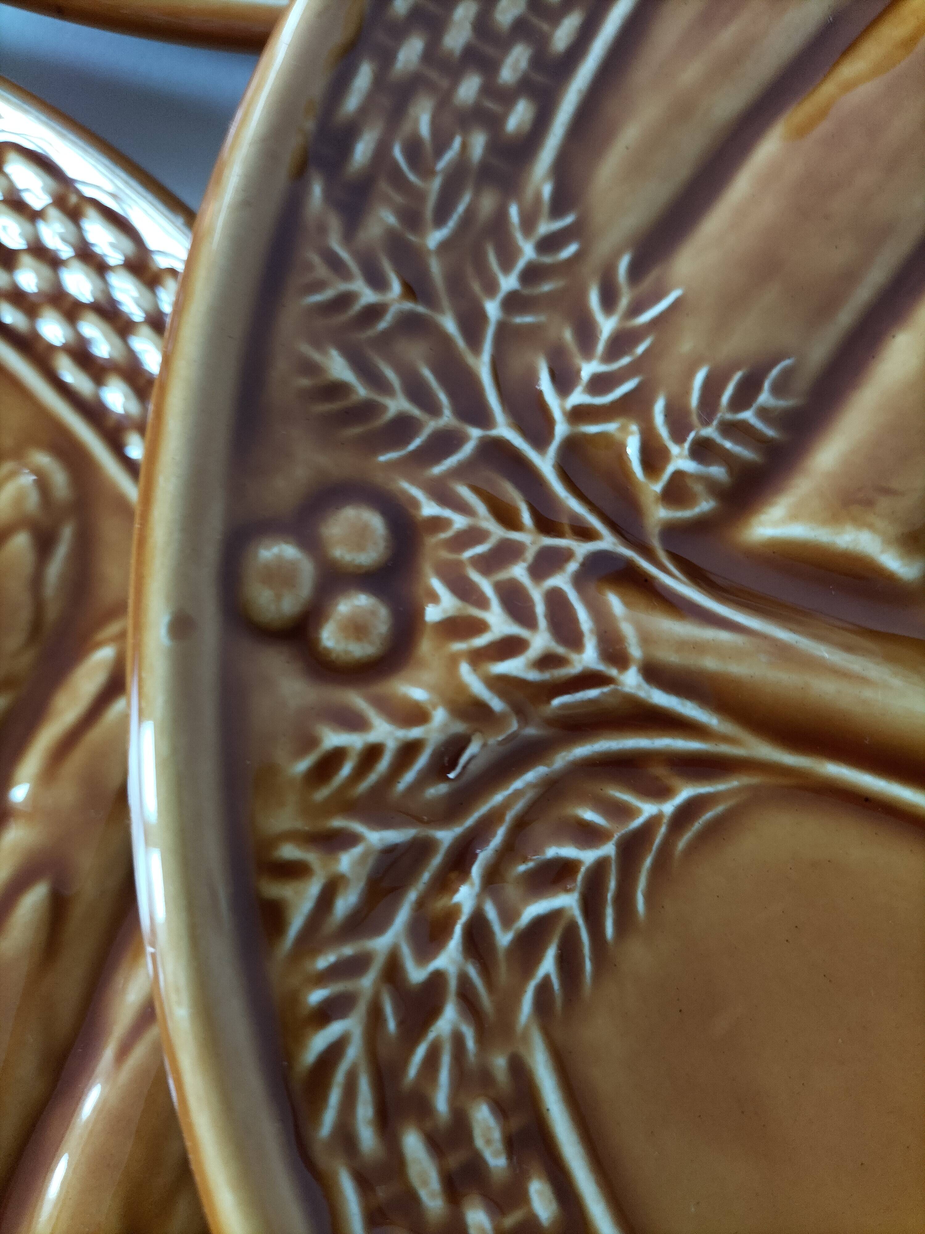Set of 6 asparagus barbotine plates