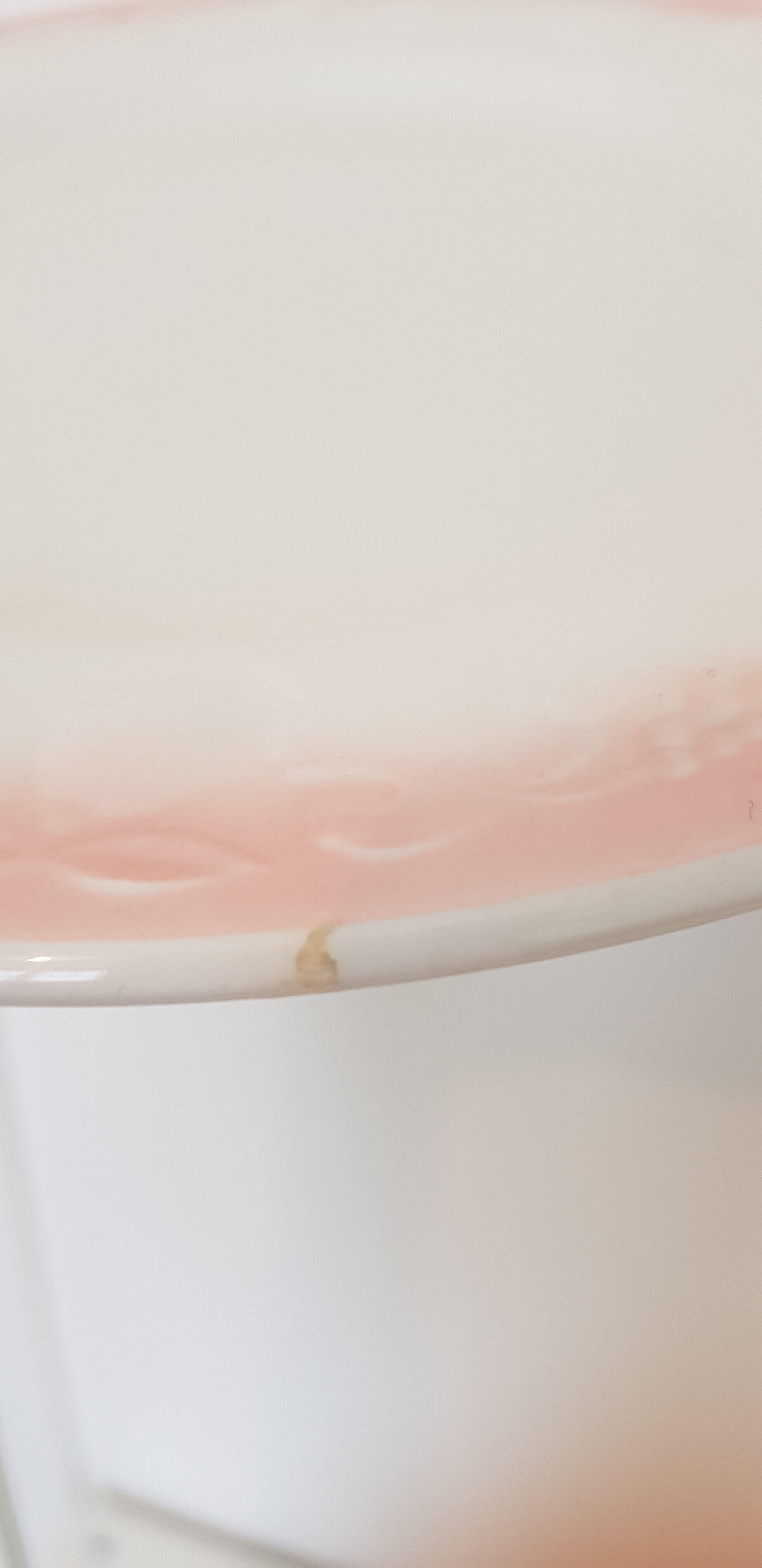 Quadrifoglio Franco Giorgi plates