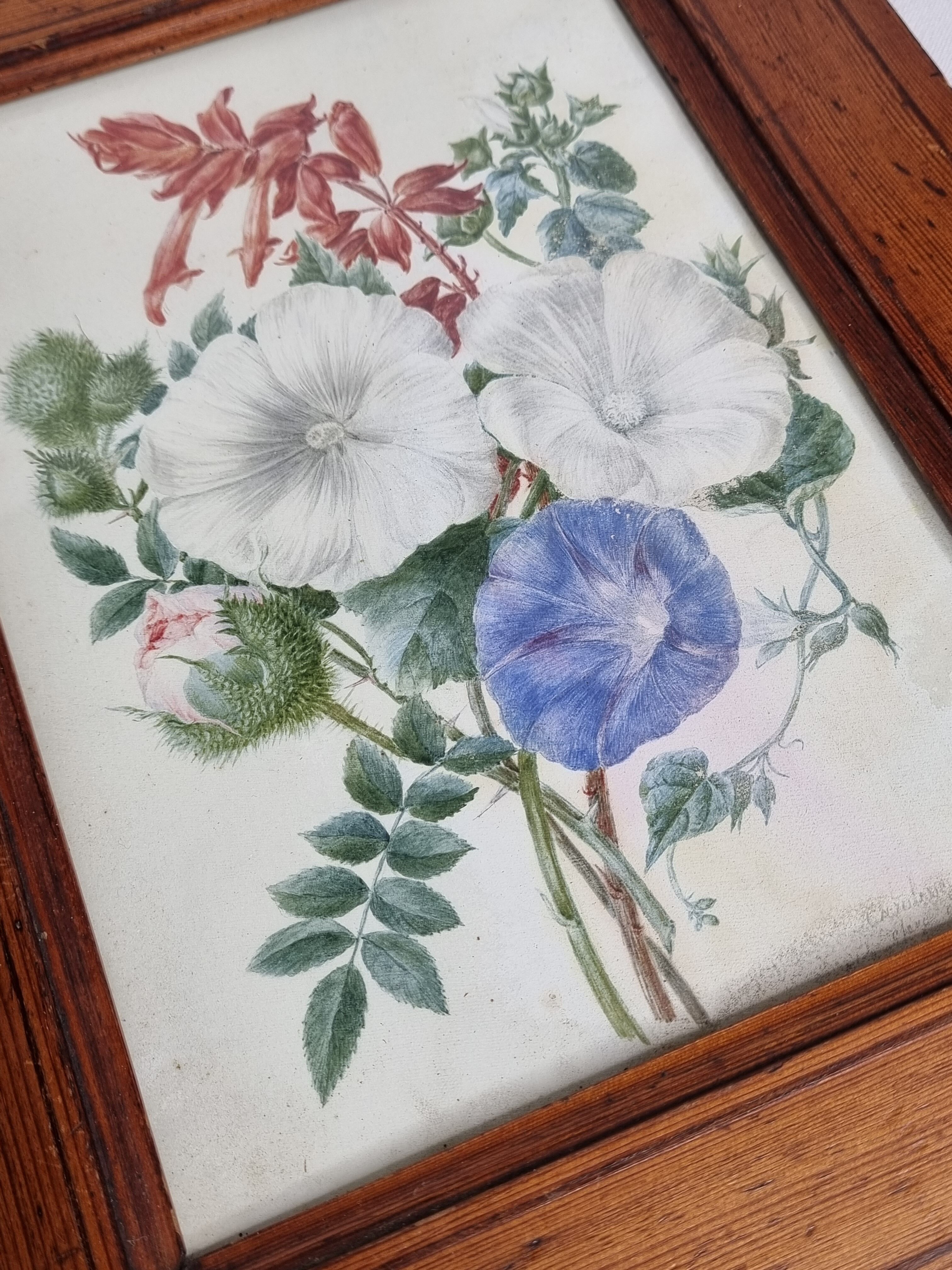 Cadre du début du XIXème siècle, bouquet de fleurs sauvages, signé, élève de Pierre-Joseph Redouté