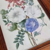 Cadre du début du XIXème siècle, bouquet de fleurs sauvages, signé, élève de Pierre-Joseph Redouté