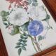 Cadre du début du XIXème siècle, bouquet de fleurs sauvages, signé, élève de Pierre-Joseph Redouté