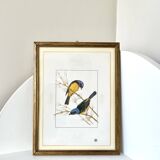 Cadre oiseaux