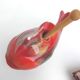 Pepper shell salt shaker oyster mustard pot ceramic fish