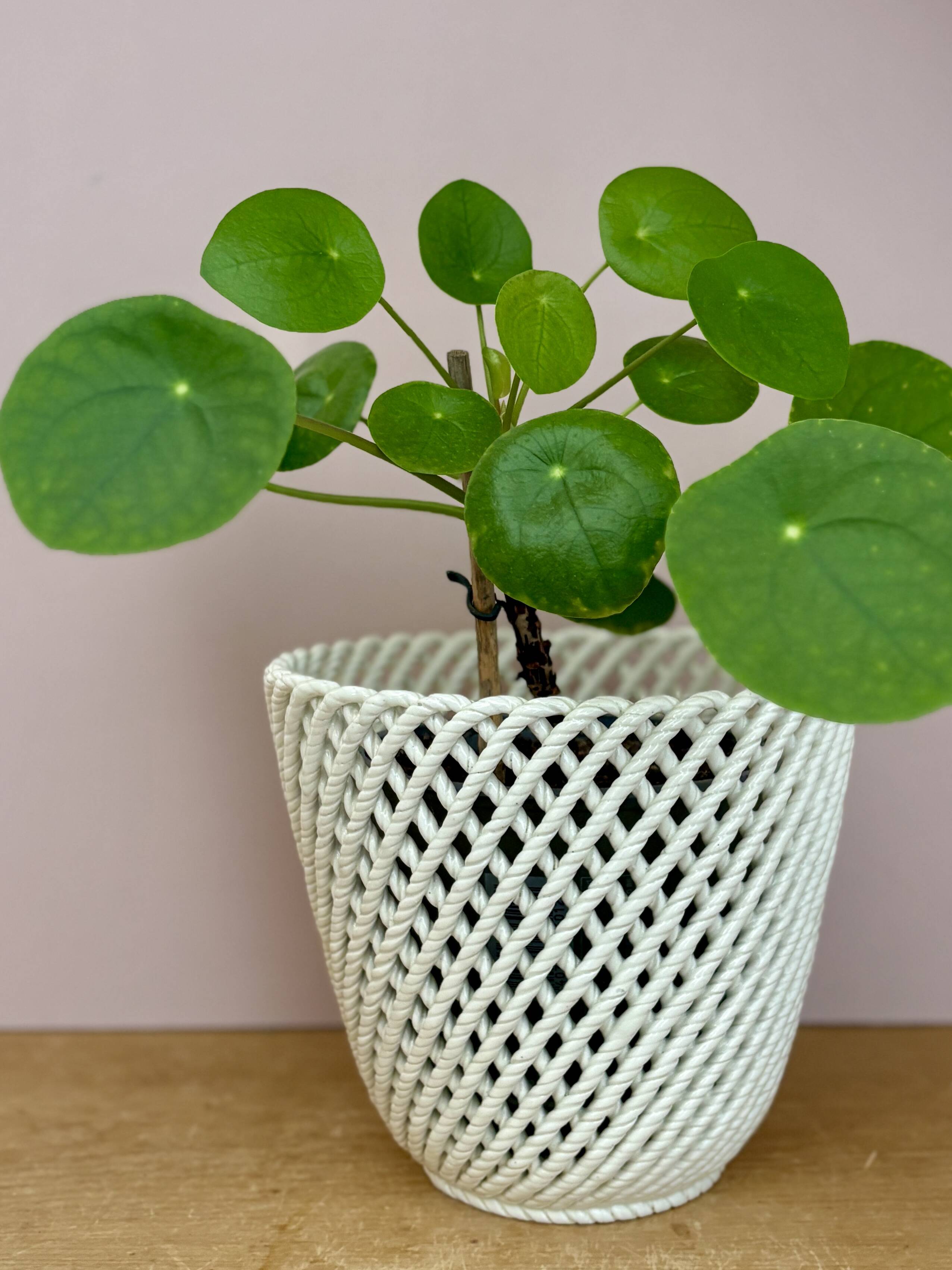 Vintage woven ceramic plant pot