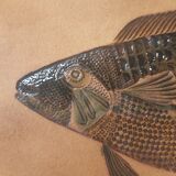 Ceramic fish dish signed R. Capron