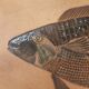 Ceramic fish dish signed R. Capron