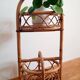 Rattan bottle bar