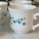 4 tasses Arcopal veronica