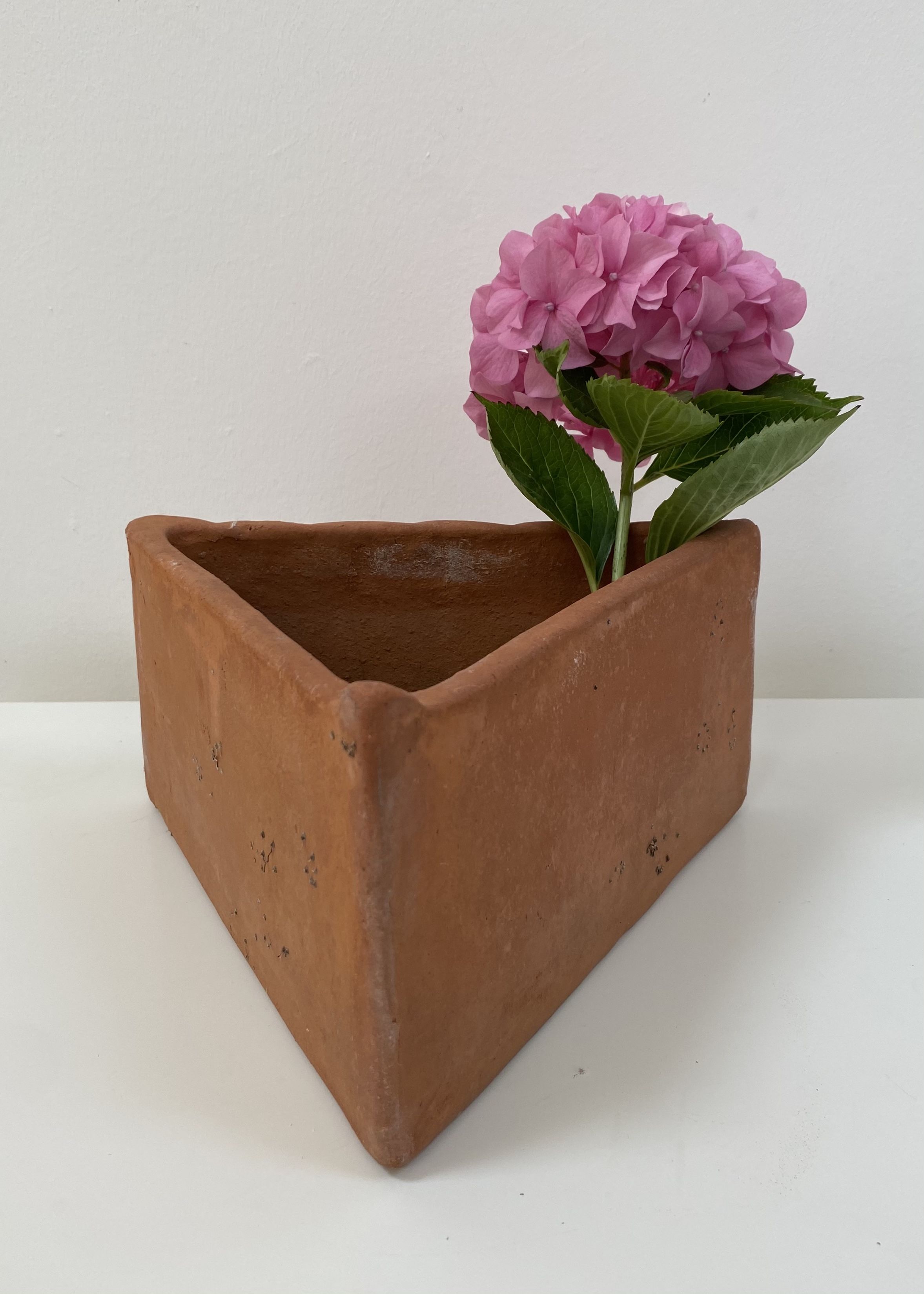 Set of 5 triangular pots for terracotta aromatics
