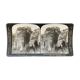 Old photography stereo, stereograph, luxury albumine 1903 Northern Greece