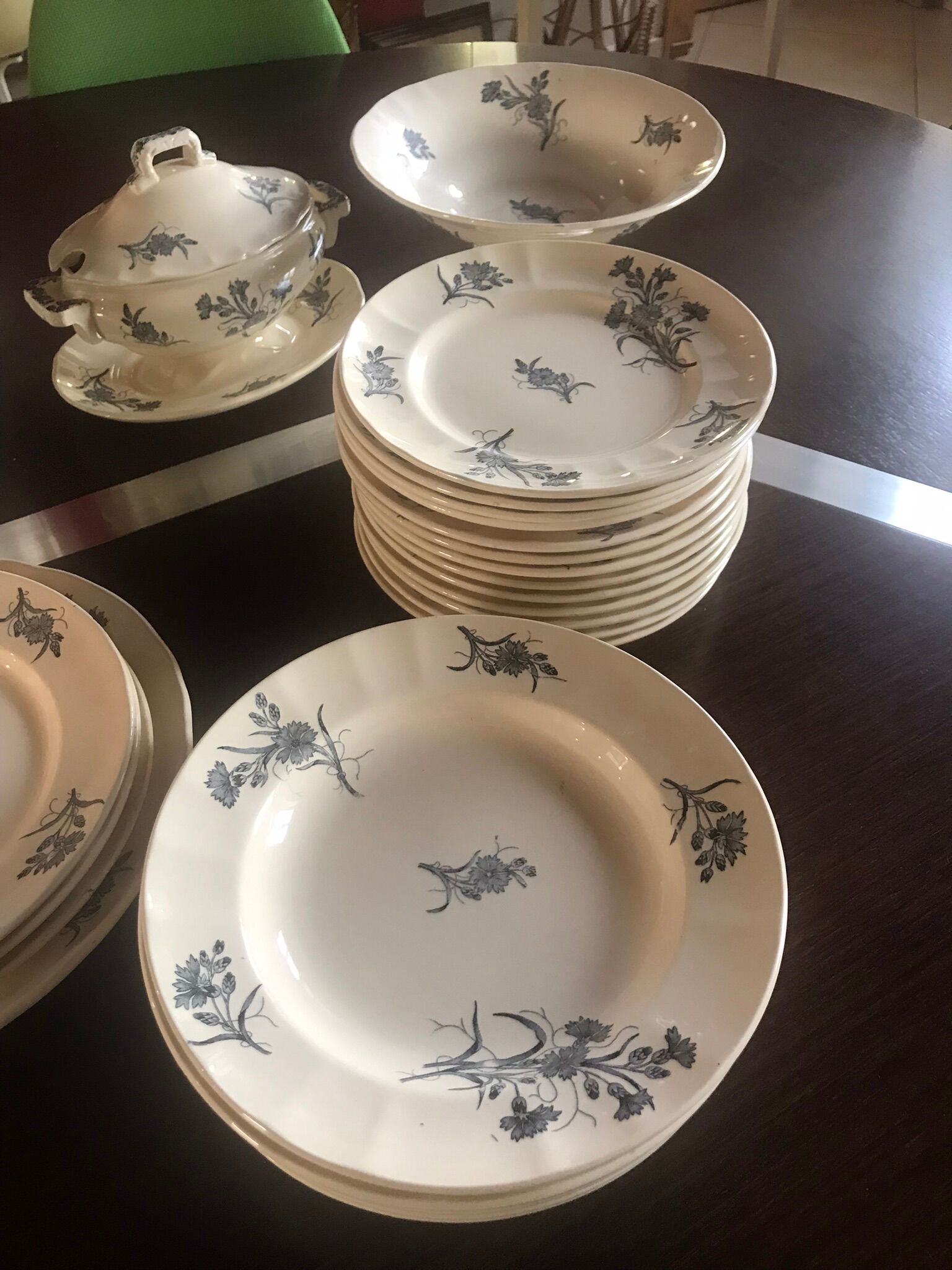 Lot de terre de fer Longchamp modèle Bluets