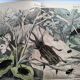 Antique lithograph from 1886 - Insects and beetles (2) - Engraving